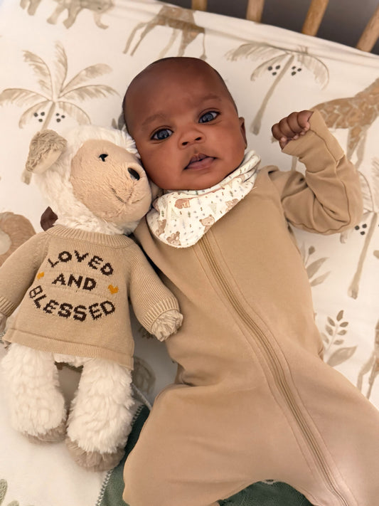 Little Lamb Soft Toy